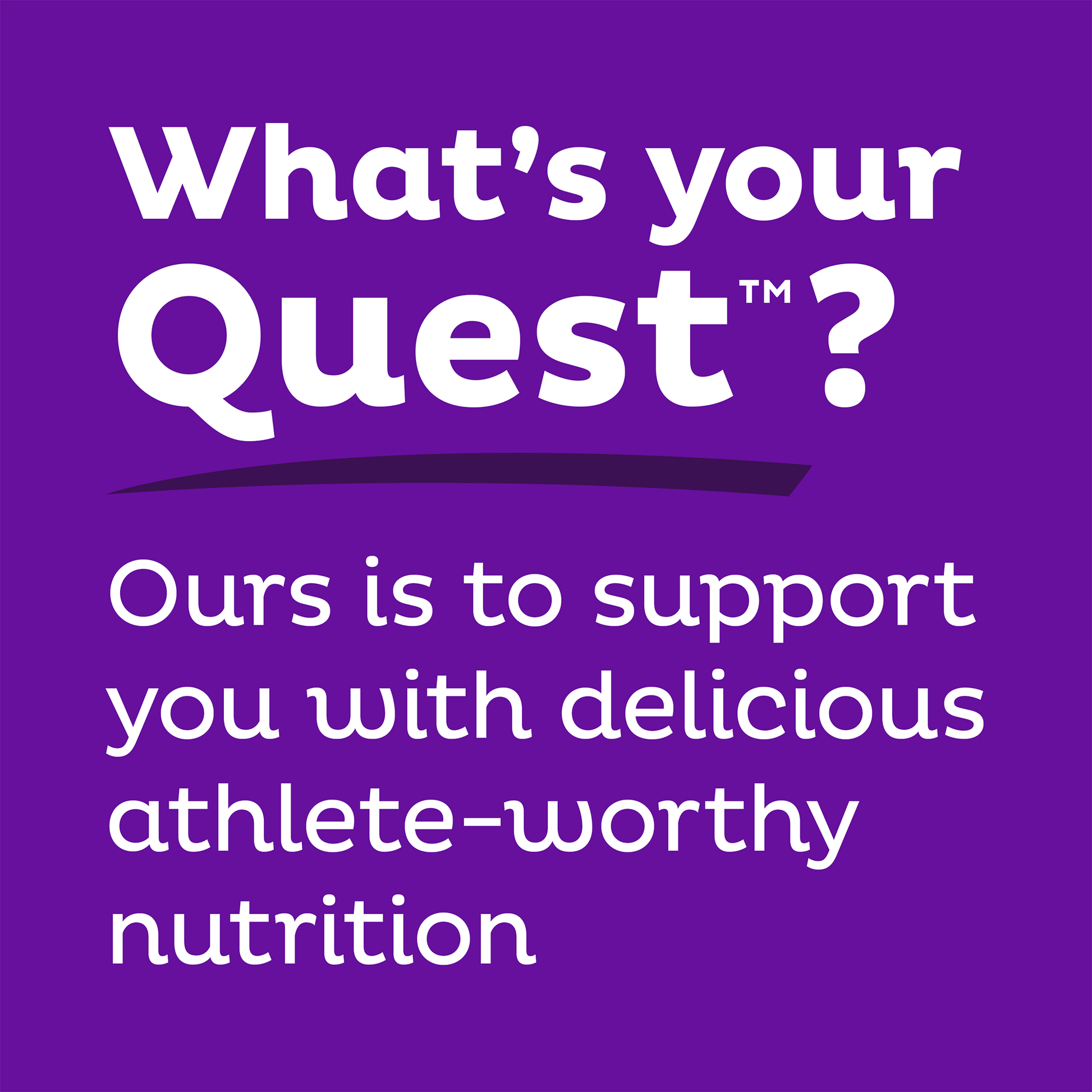 double-chocolate-chunk-protein-bars-o0 qst-000241_double-chocolate-chunk-protein-bars_9.png